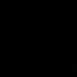 Meet your Posher, Cheyenne